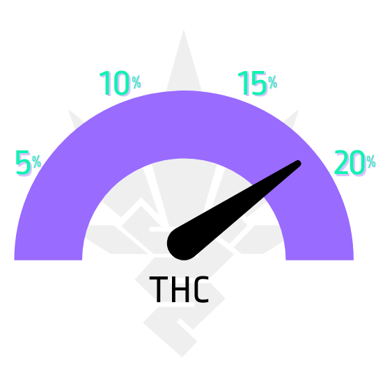 ukazatel THC